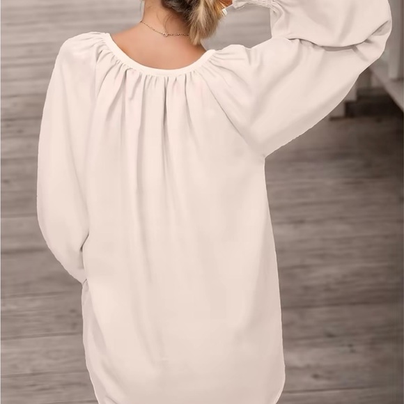 NWOT-Elegant Soft Blush Pink V Neck Raglan Sleeve Blouse - Picture 4 of 8